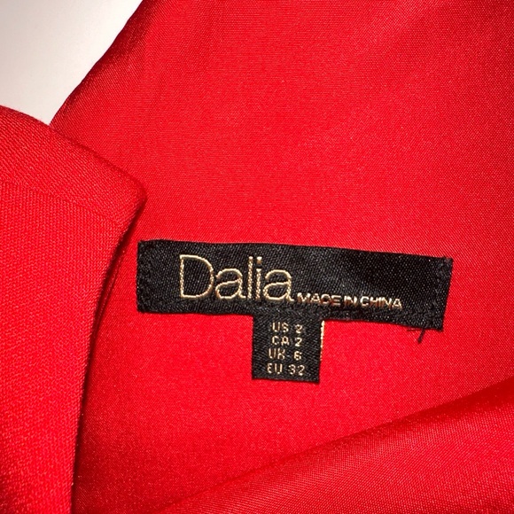 Little Red Dress with Cap Sleeves. Fully Lined. Beautiful, Classy and Sassy! - Picture 5 of 7